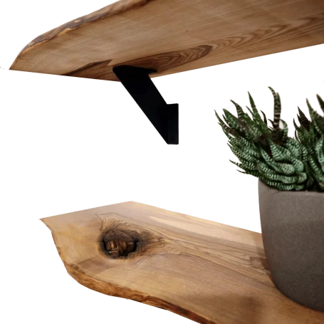 Regalbretter Wandregal aus Esche mit natürlicher Baumkante